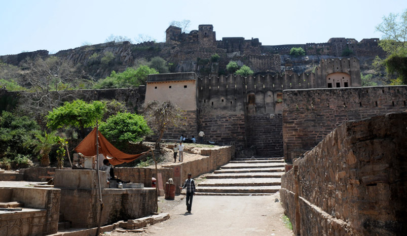 6-Days Golden Triangle Tour with Rajasthan Wildlife