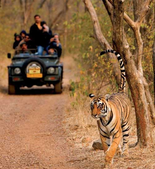 Golden Triangle with Ranthambore Tour