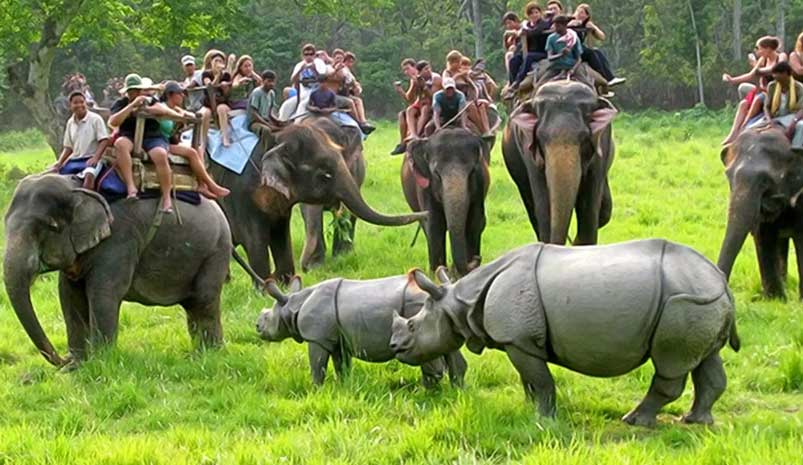 3-Day Delhi to Jim Corbett Wildlife Tour