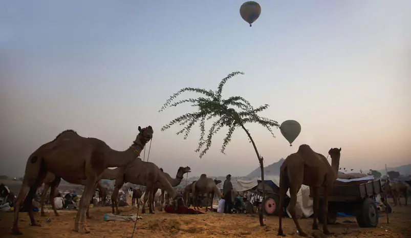 Golden Triangle Tour with Pushkar Fair