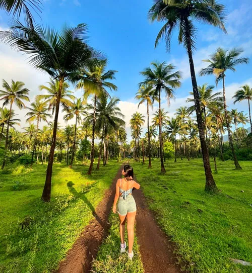 Golden triangle Tour with Goa