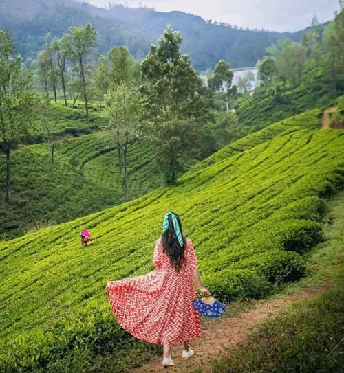 Golden Triangel Tour with Kerala