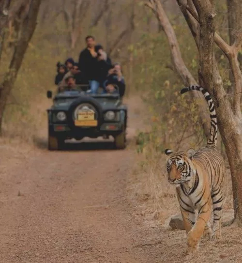 Golden Triangle Tour with Bharatpur & Sariska