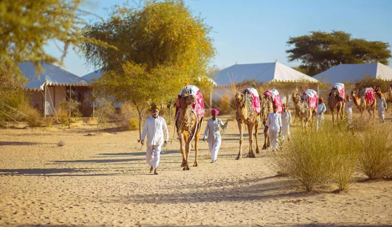 Luxury Golden Triangle tour with Manvar Village