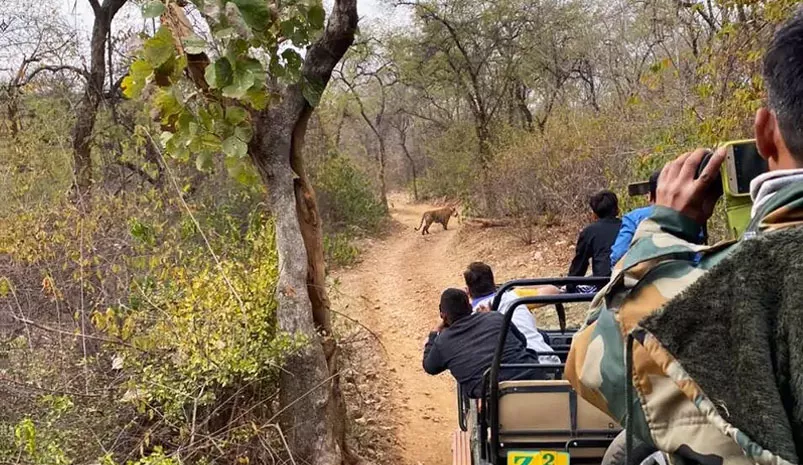 Golden Triangle Tour with Bandhavgarh Safari