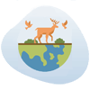 Wildlife & Safaris